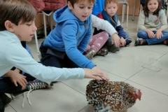 IMG20231228133832